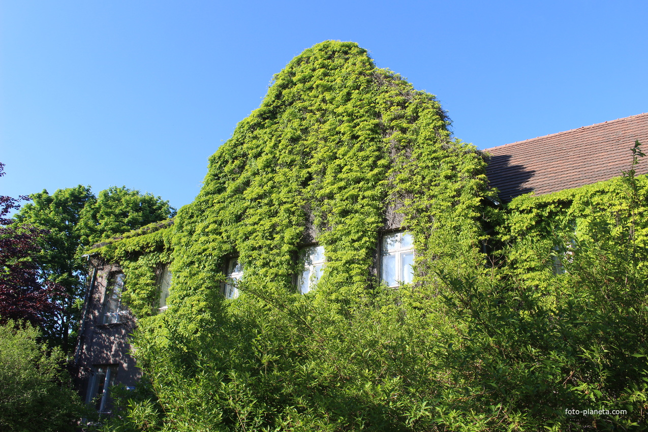 Здание водогрязелечебницы.