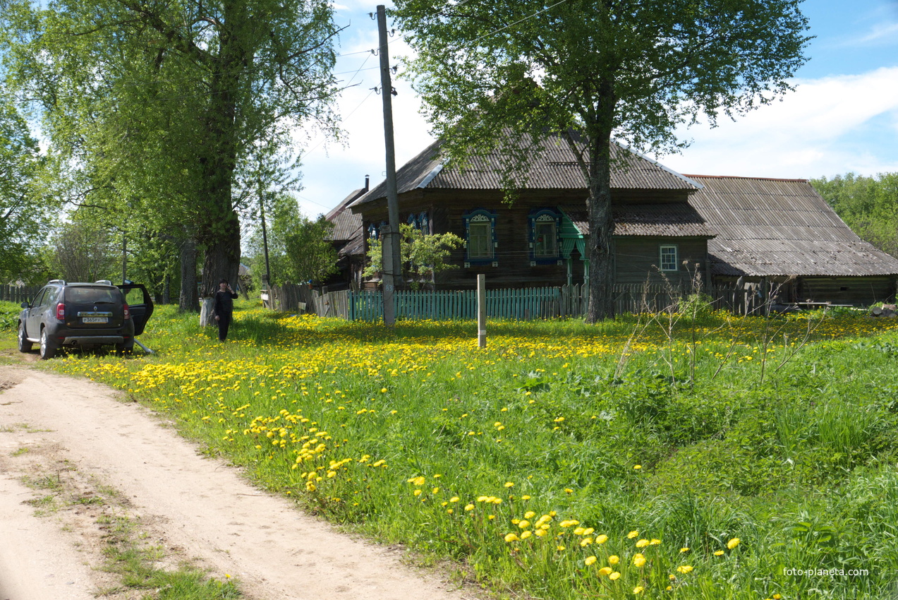 Д.Горильдово 06.2016