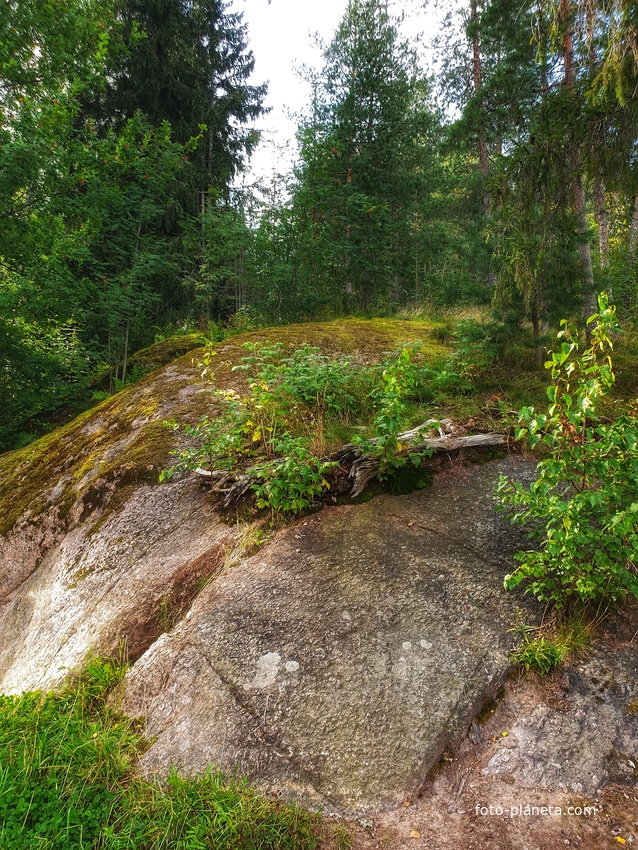 Скалистый пейзаж.