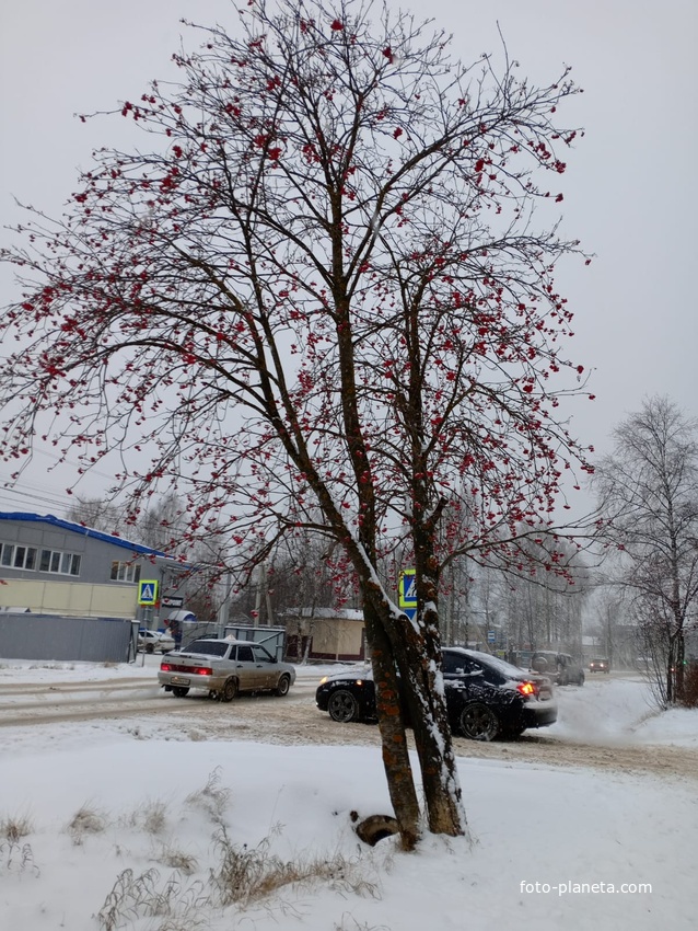 Улица 50 лет Советской власти.