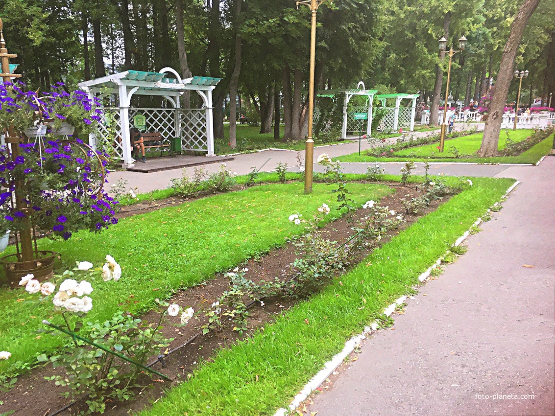 Аллеия с беседками вдоль дорожек и клумбами с цветниками в парке имении Горького.