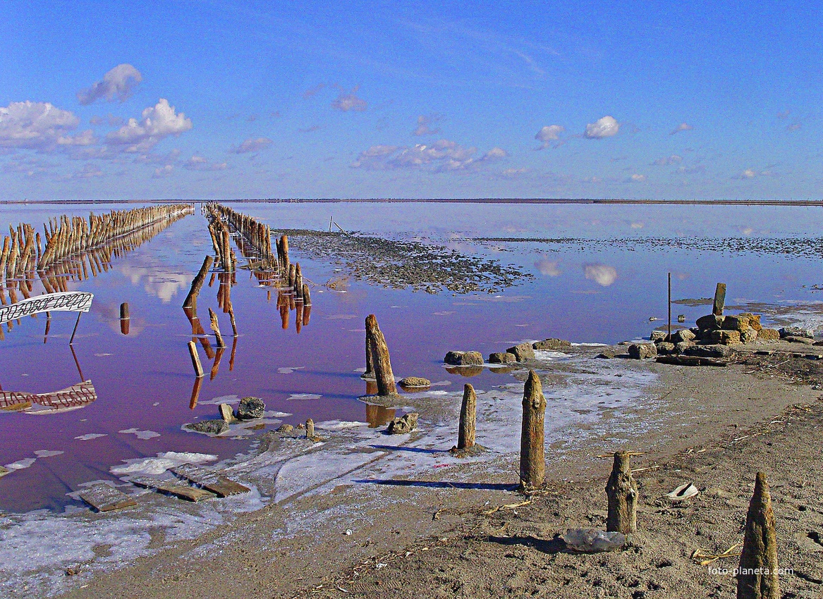 Сваи, уходящие в озеро Сасык-Сиваш, — это остатки соледобывающих конструкций. В те времена, когда соль ломали вручную, эти столбы были сваями, на которых лежали деревянные настилы, где сушилась добытая соль.