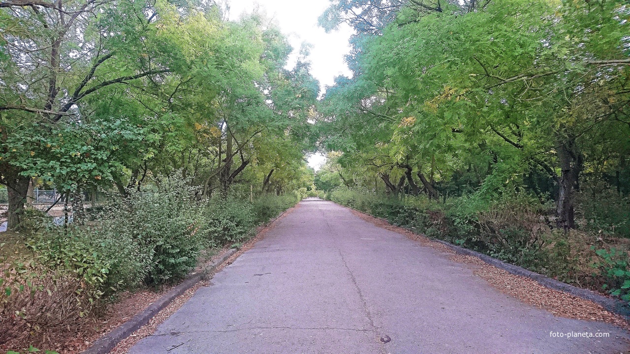 Улица Франко.