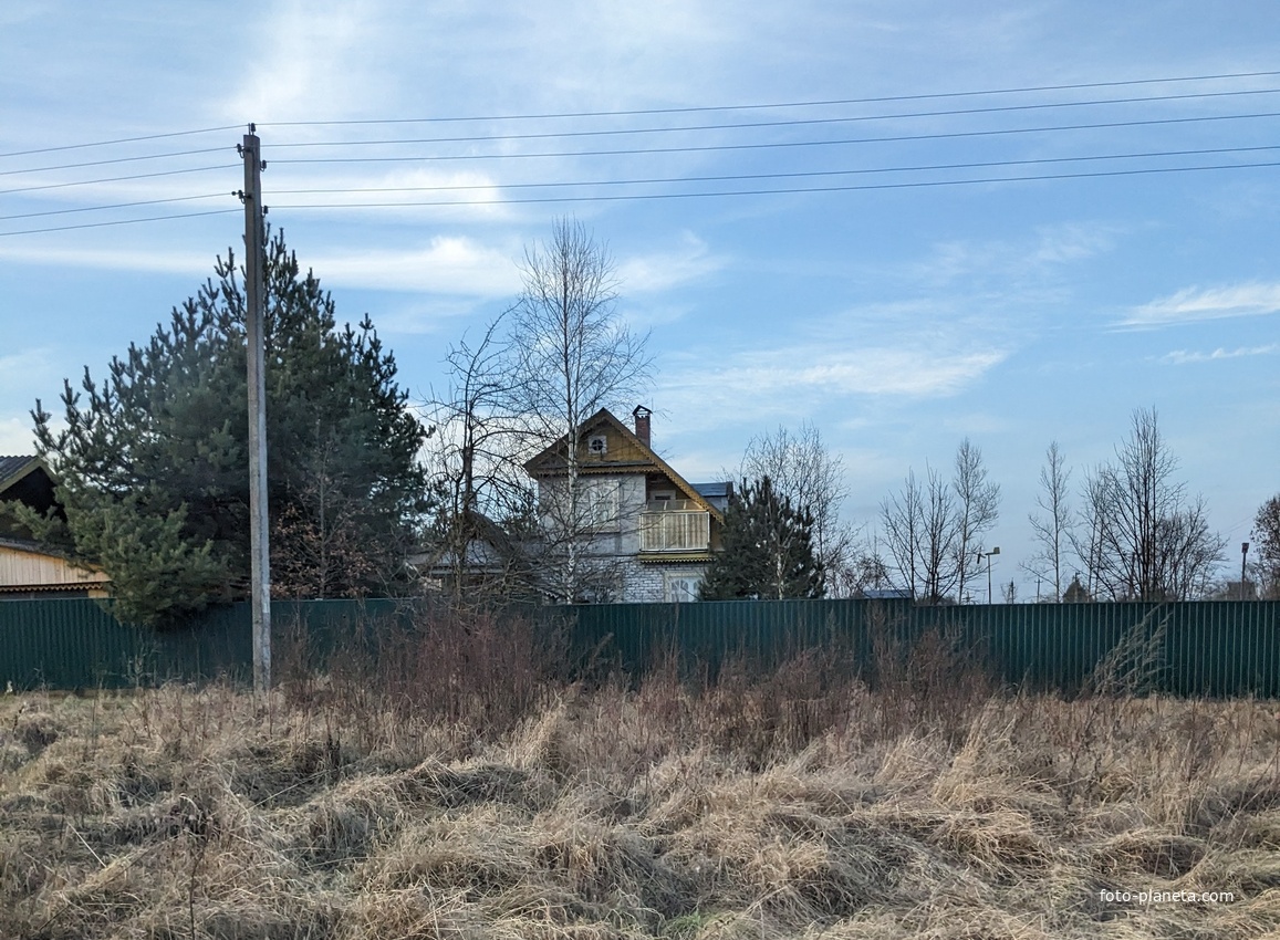 Писаревщина