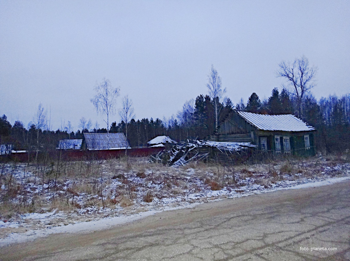Дома по Лесной улице на восточной окраине. Вид с северо-запада.