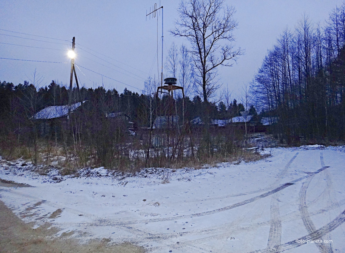 Дома по Лесной улице на восточной окраине. Вид с юго-запада.