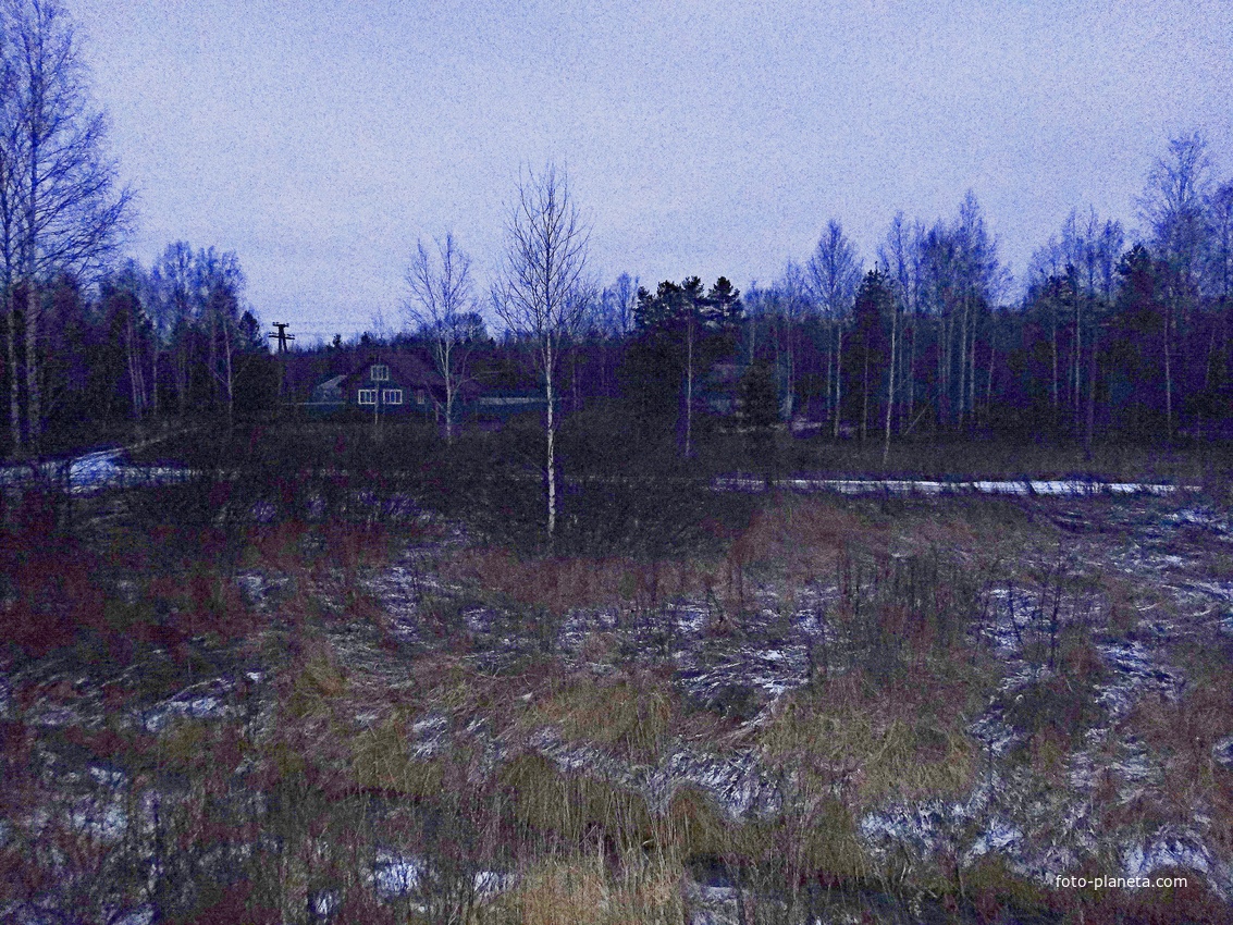 Дома по Лесной улице на северо-западной окраине. Вид с ж/д платформы.