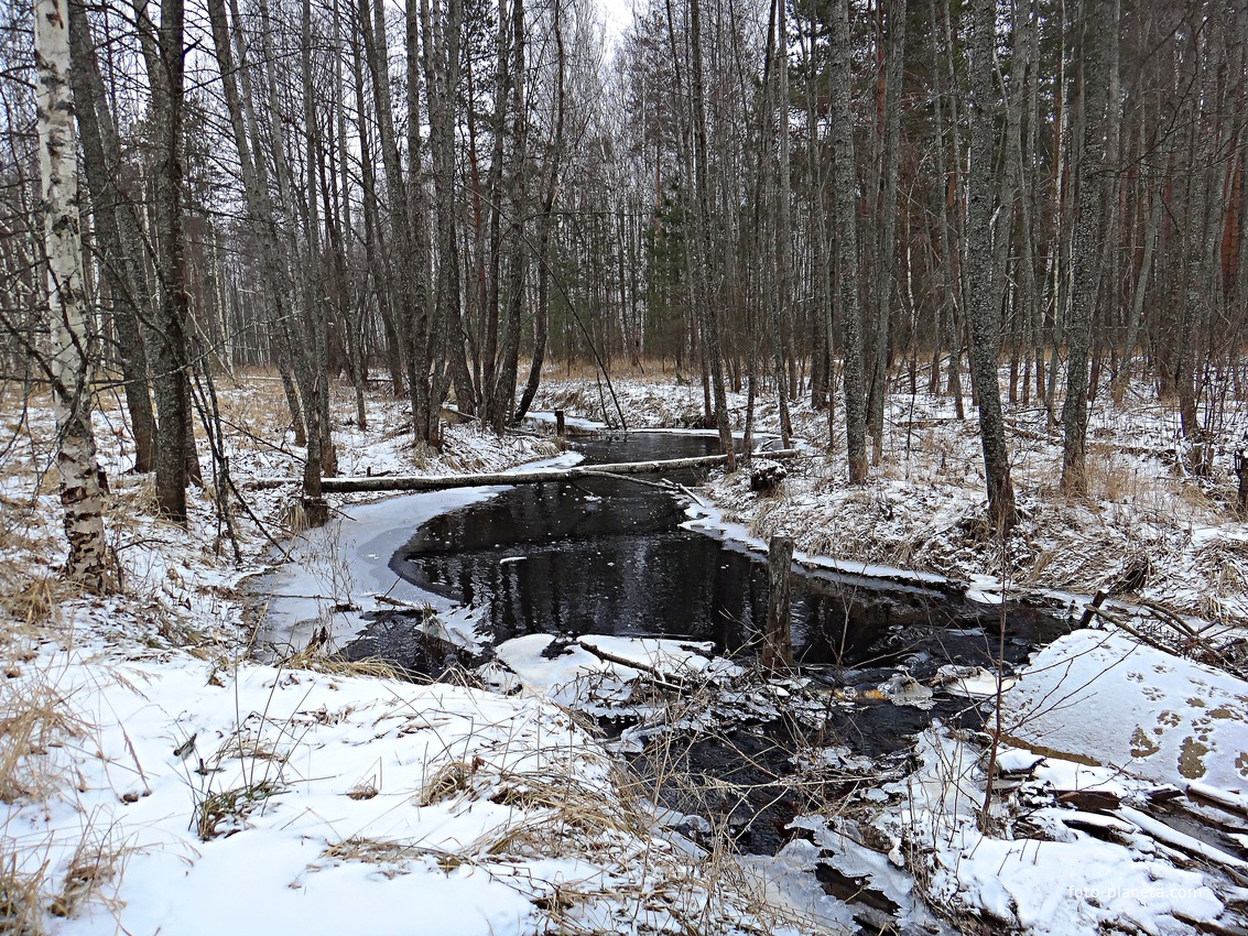 Речка Таса севернее водопропускной трубы с настилом по лесной дороге юго-западнее посёлка Тасинский.