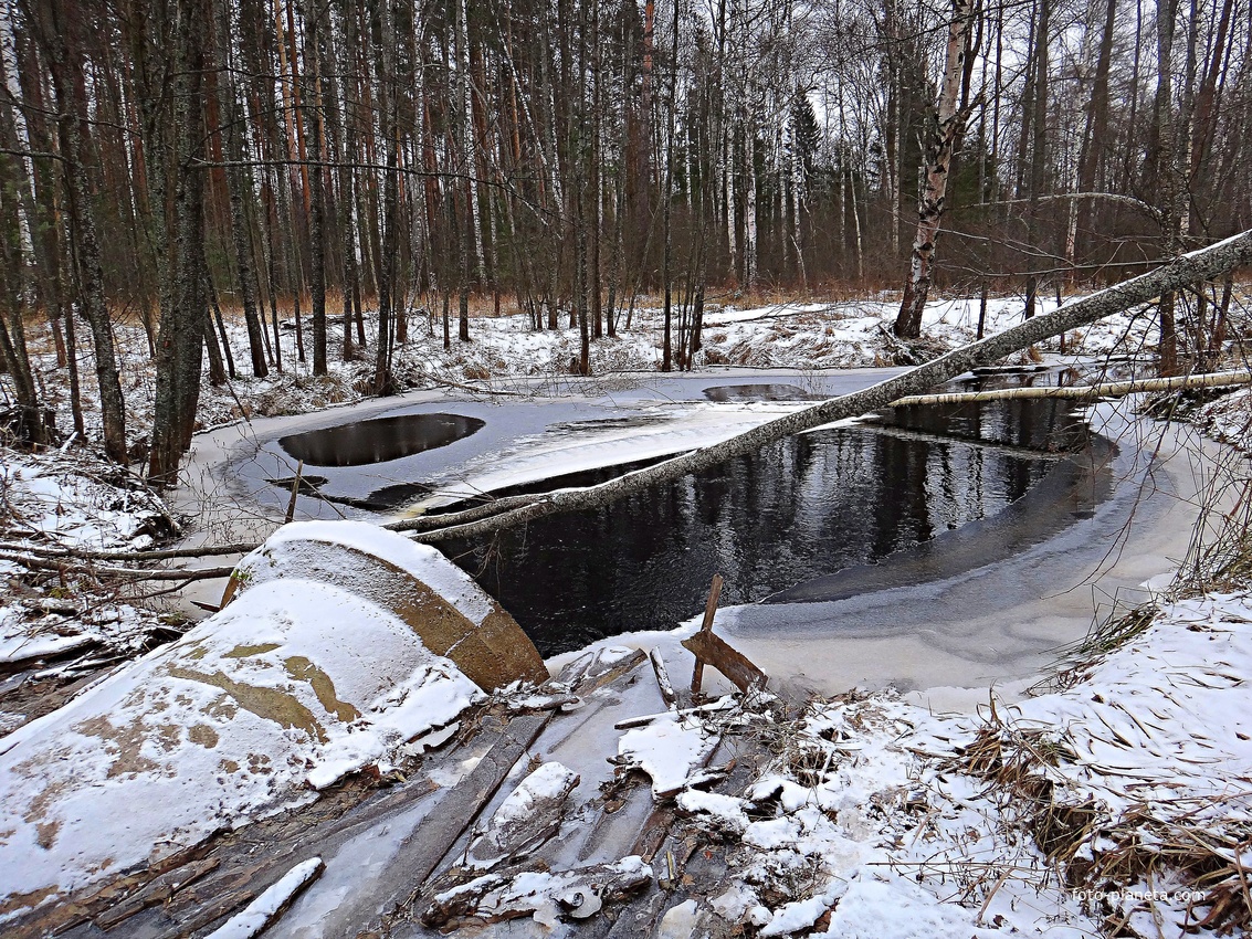 Речка Таса южнее водопропускной трубы с настилом по лесной дороге юго-западнее посёлка Тасинский.