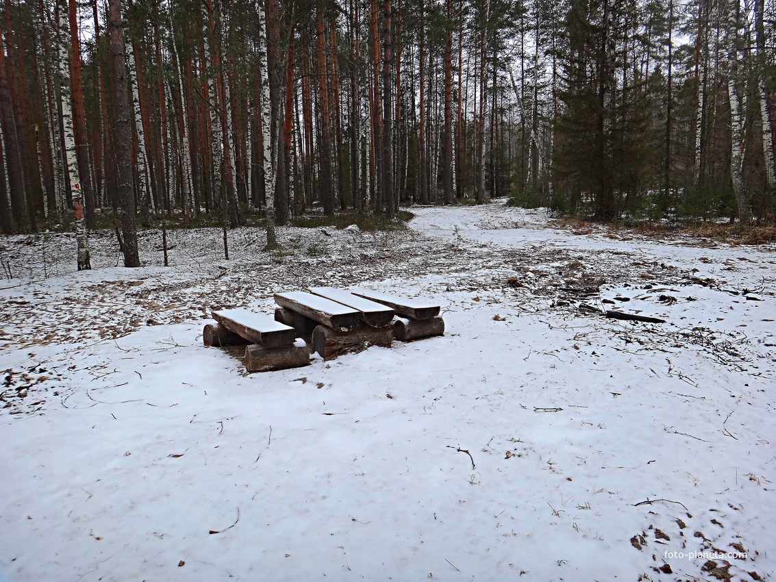 Уголок отдыха в виде лавочек и стола из чурок и плах возле посёлка Тасинский.