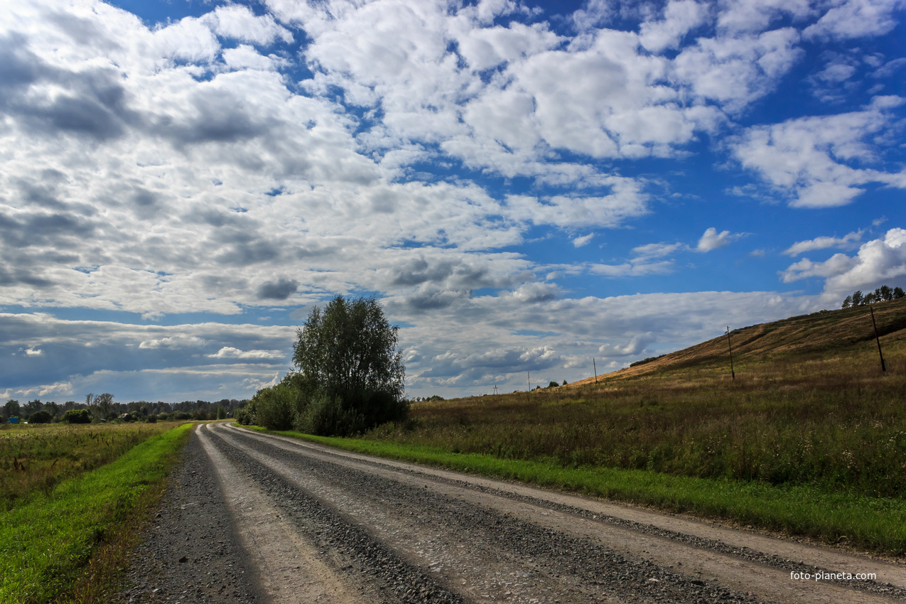 Дорога в Новозыряново