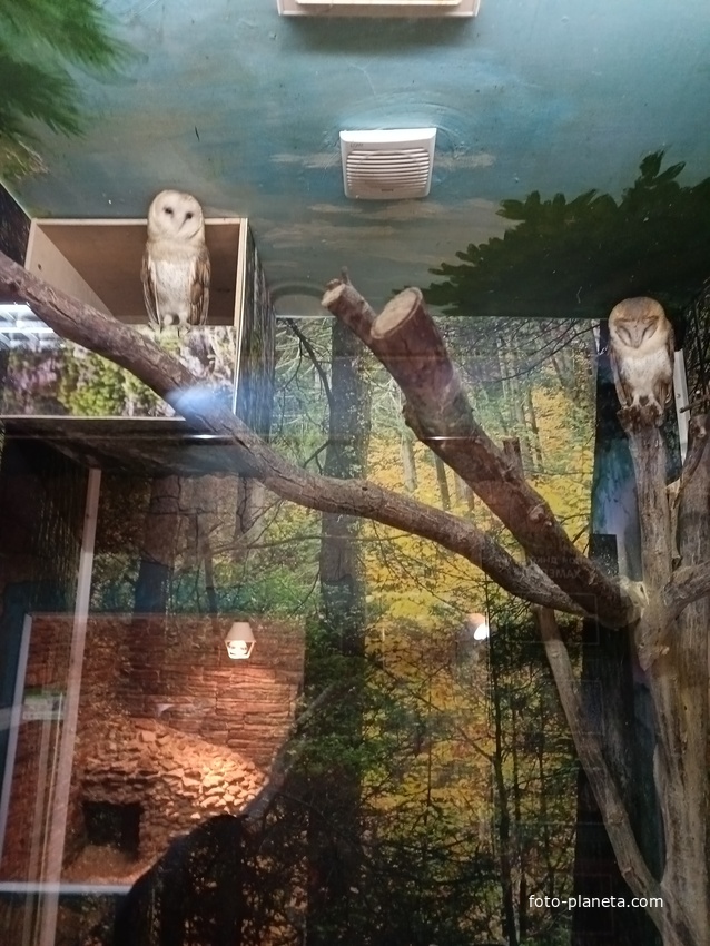 Обитатели экзотариума