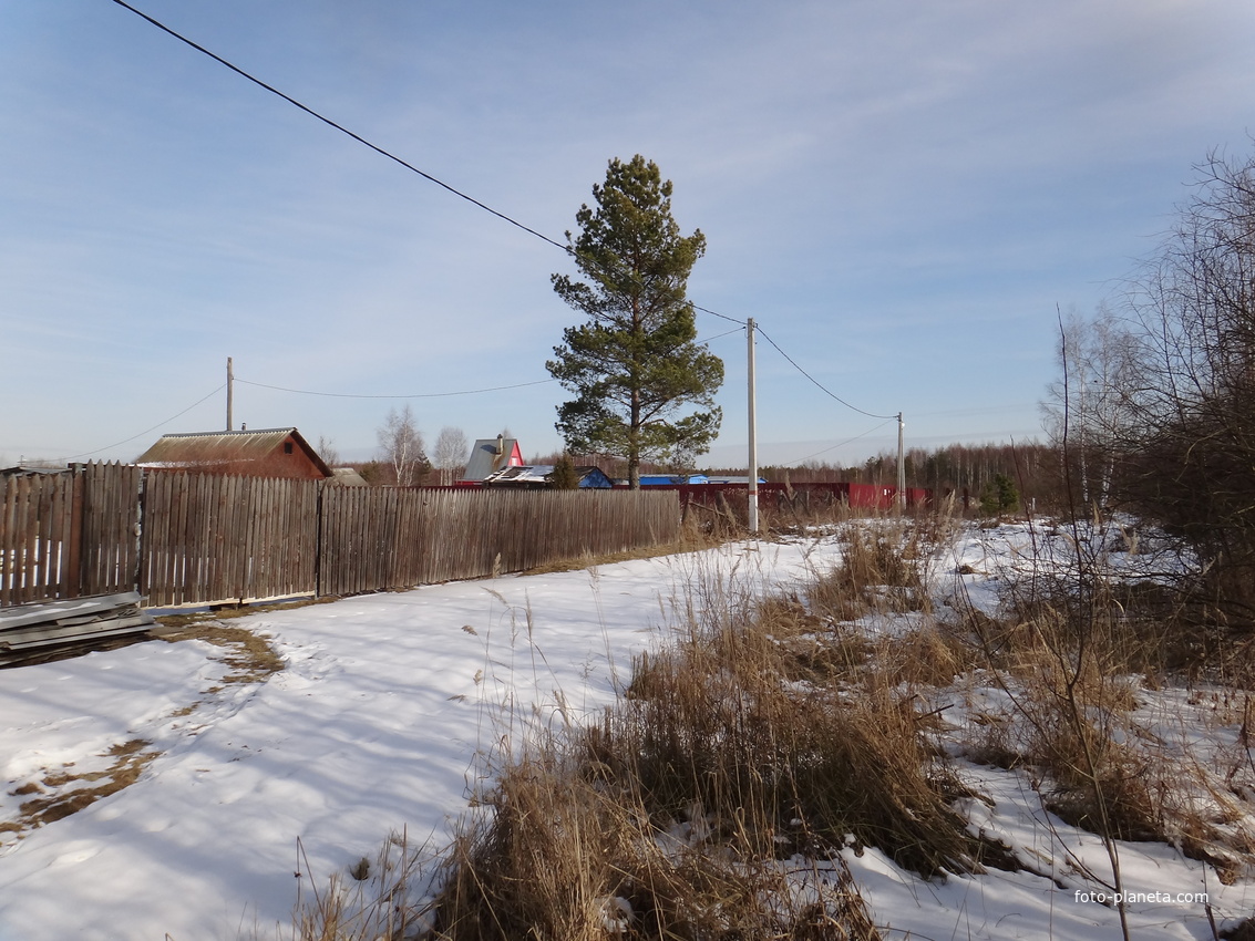 Дома в восточной части посёлка по улице Лесной.