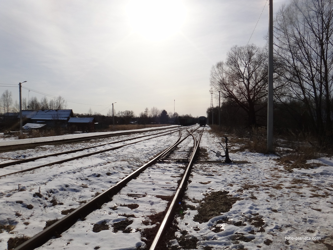 Железнодорожный разъезд ветки на посёлок Уршельский между улицами Лесной и Пионерским проспектом.