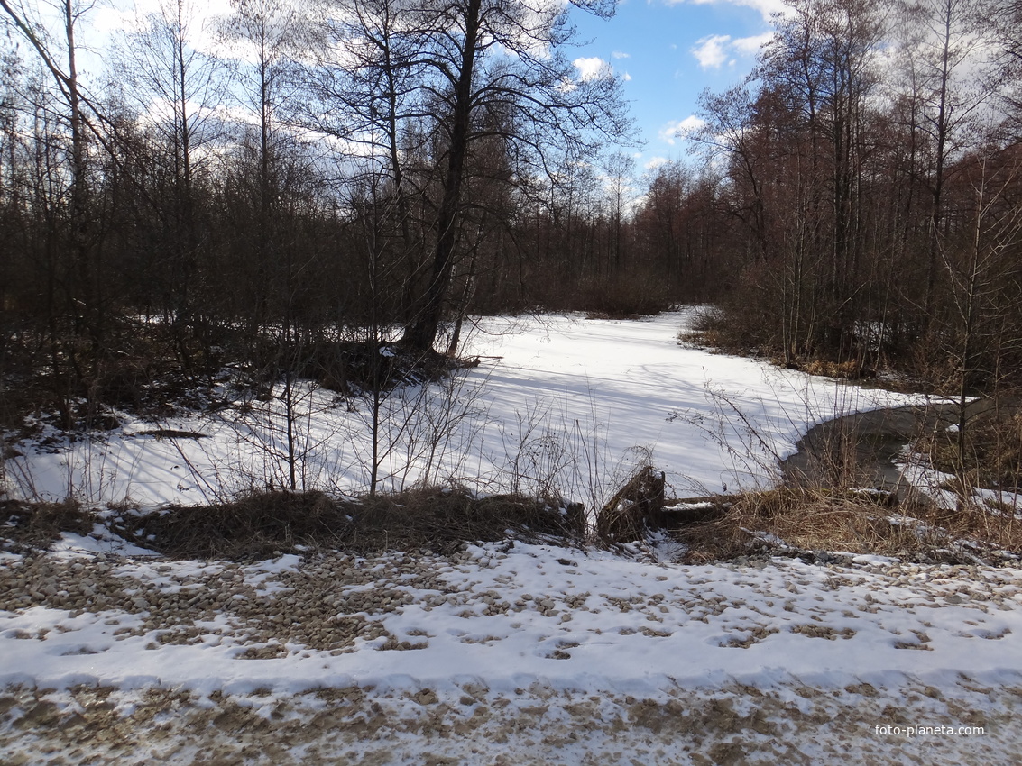 Дренажные канавы вдоль дороги от выселок деревни Поздняки-Сахалин к деревне.