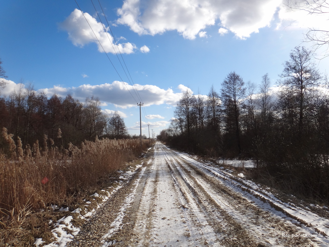 На дороге от выселок деревни Поздняки-Сахалин к деревне Поздняки.