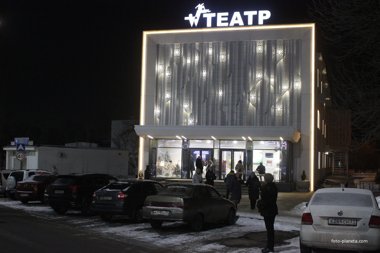 Театр для детей и молодёжи.