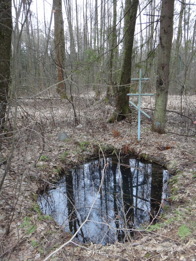 Родник Флора и Лавра ~ в 350м северо-западнее деревни.