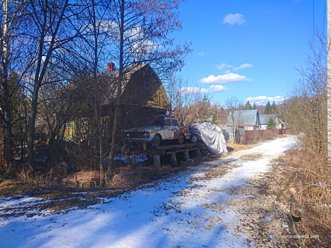 На территории поляны &quot;Центральная&quot;.