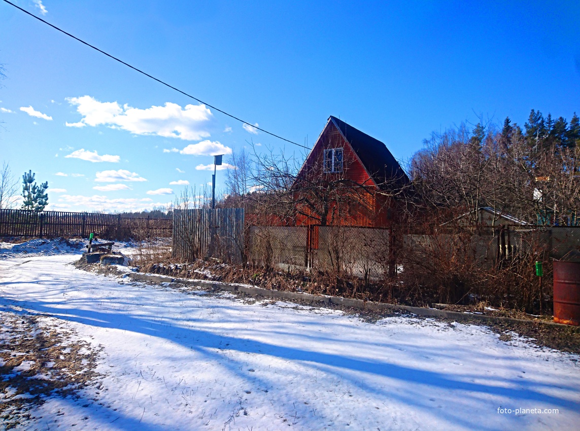 На территории поляны &quot;Центральная&quot;.
