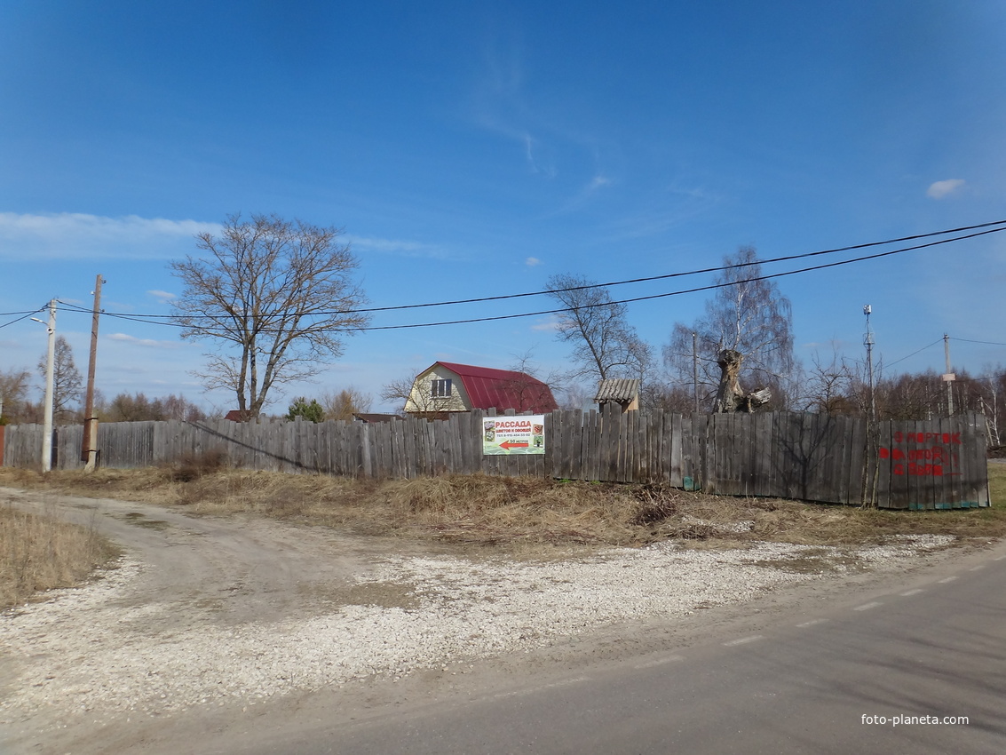 В центральной части посёлка.