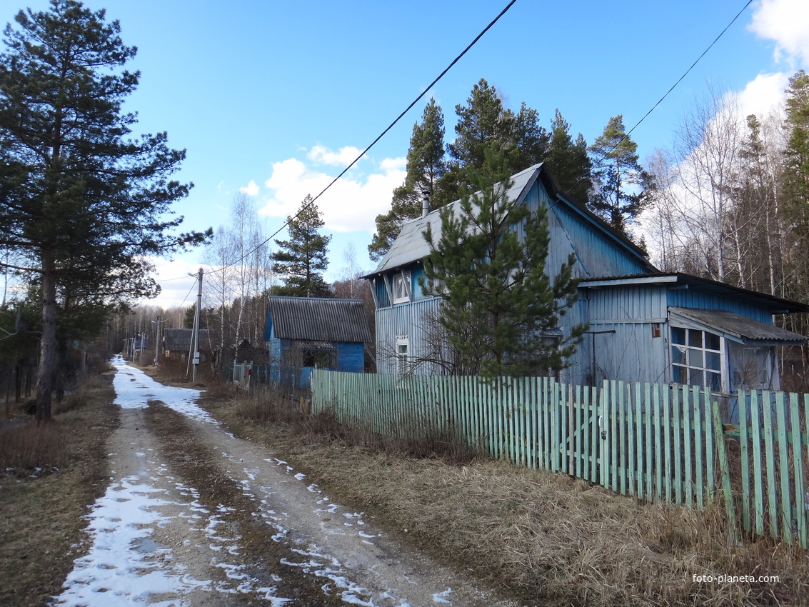 На территории поляны &quot;Московская&quot;.