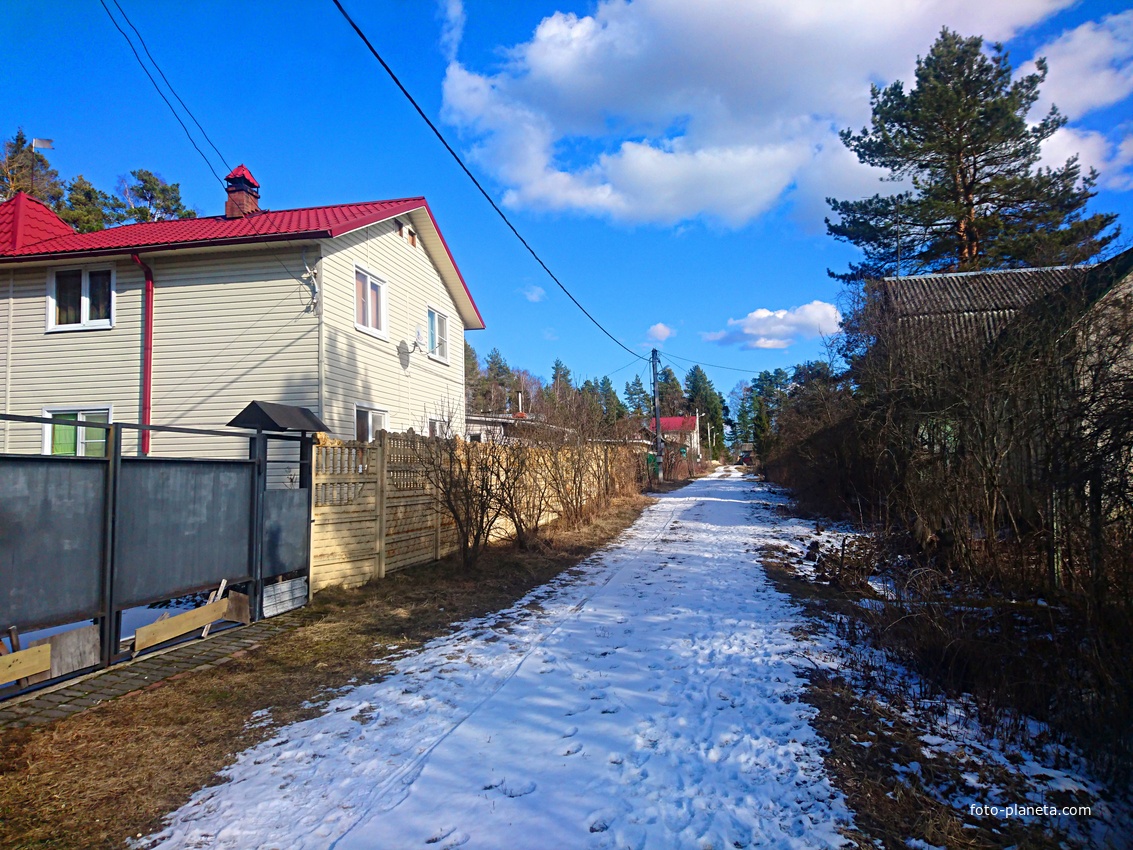 На территории поляны &quot;Московская&quot;.