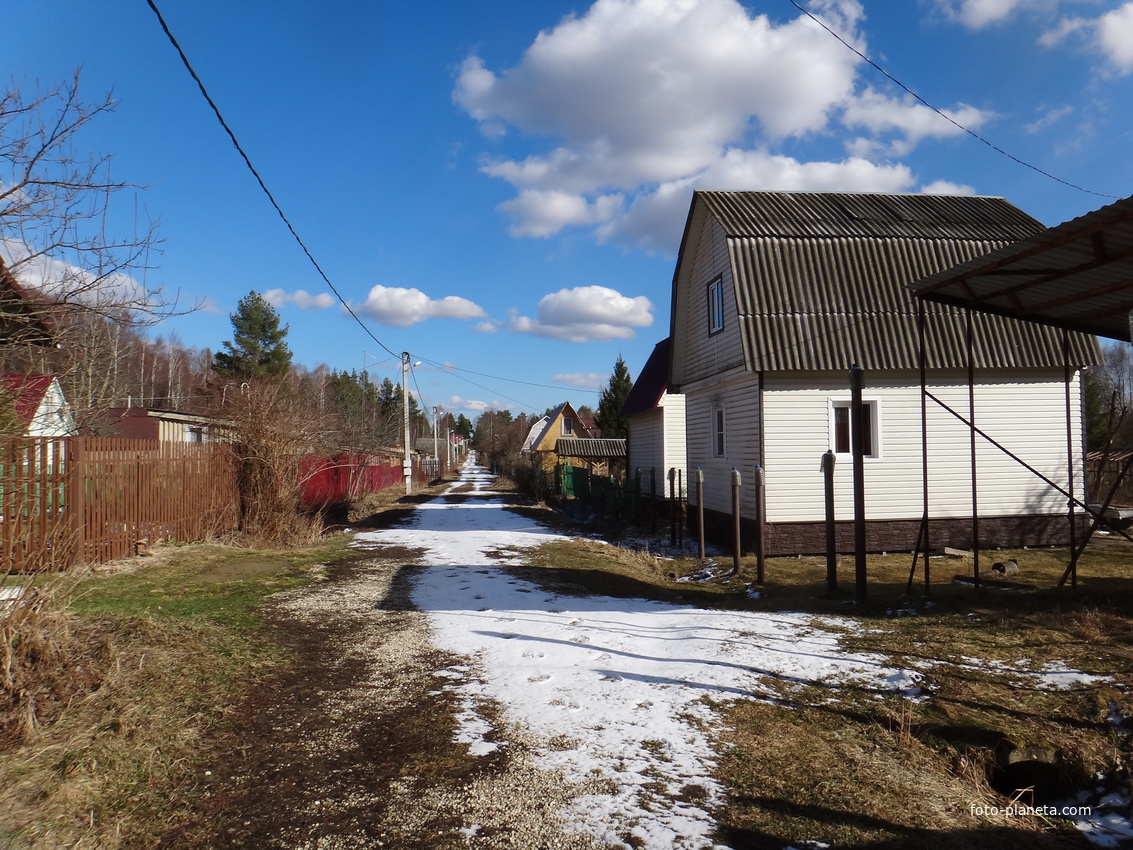 На территории поляны &quot;Московская&quot;.