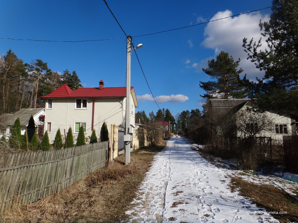 На территории поляны &quot;Московская&quot;.