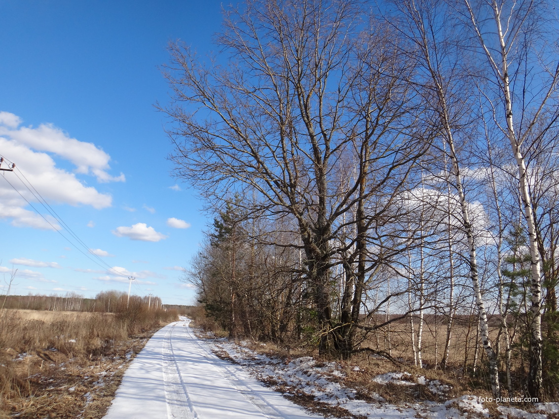 Просёлочная дорога от поляны СНТ &quot;Байкал&quot; &quot;Московская&quot;.