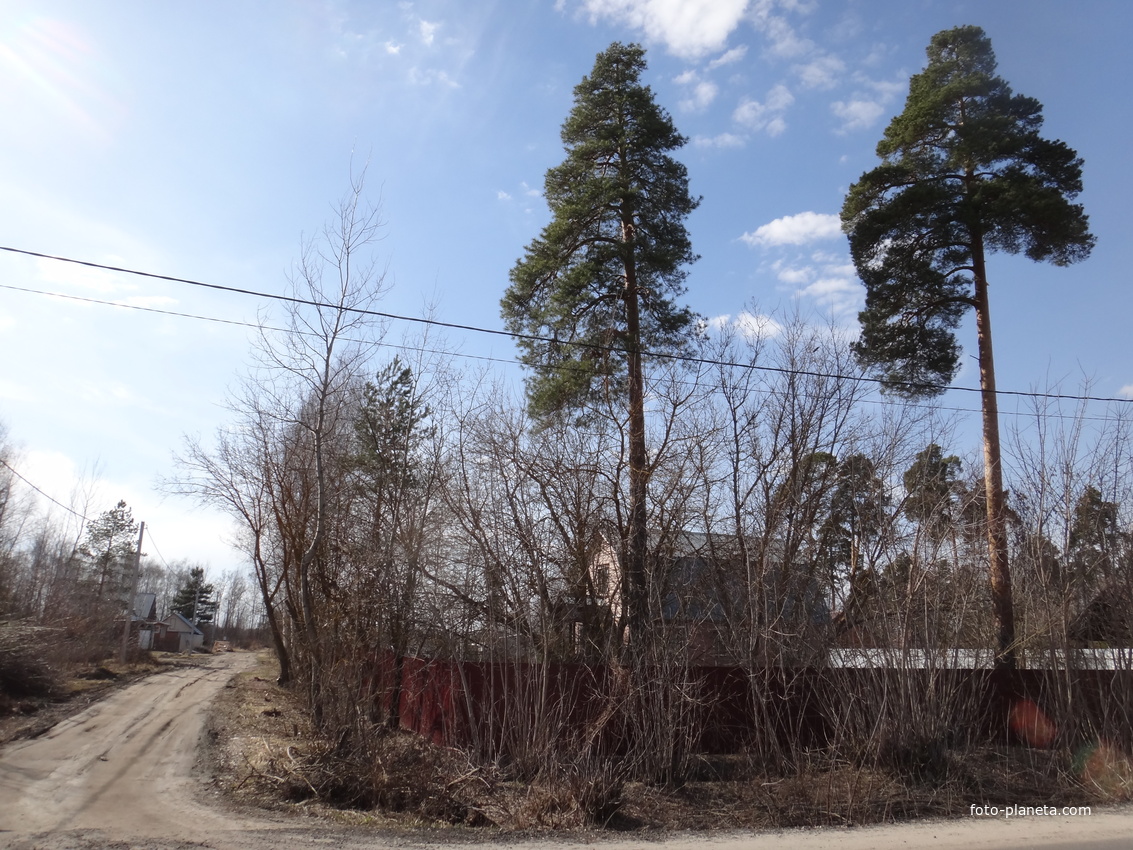 Дом на Профсоюзной ул. 1а.