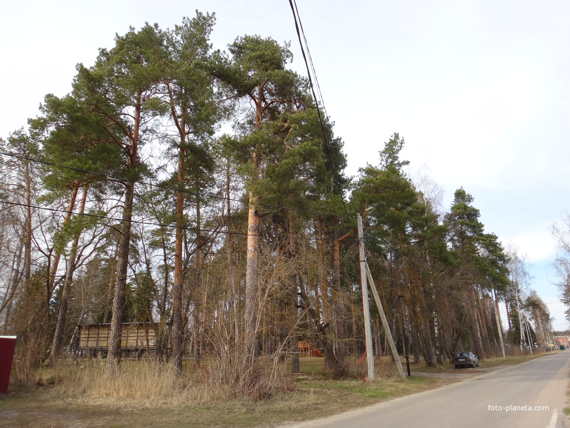 Ул. Советская, поселковый парк.