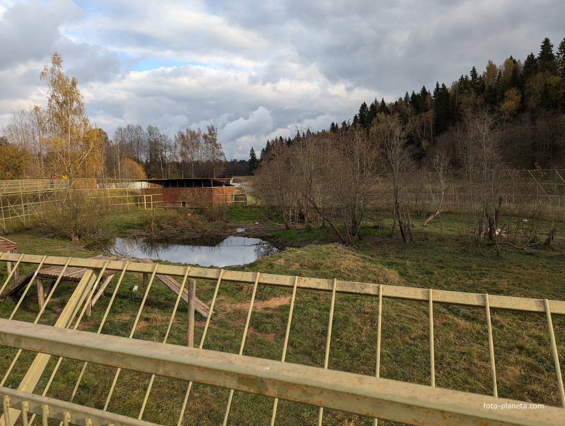 Территория львов