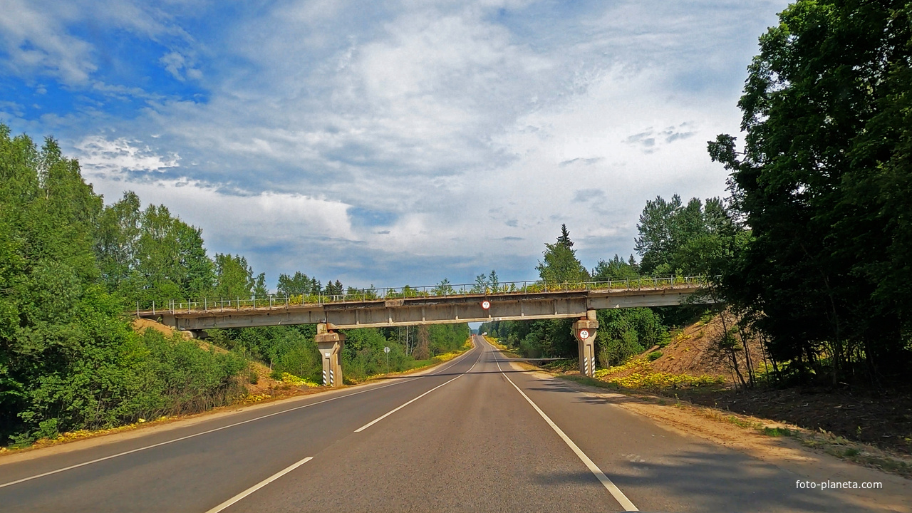 Покровское, ЖД мост
