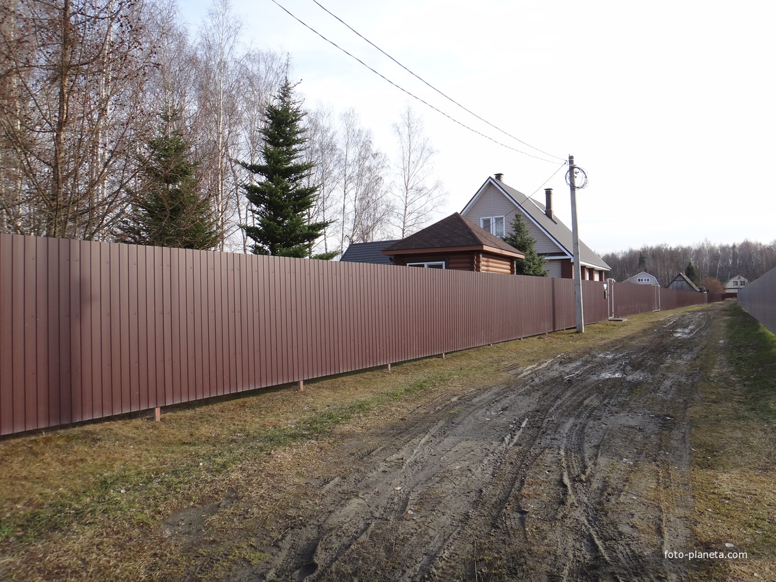 Дома в северо-западной части деревни.