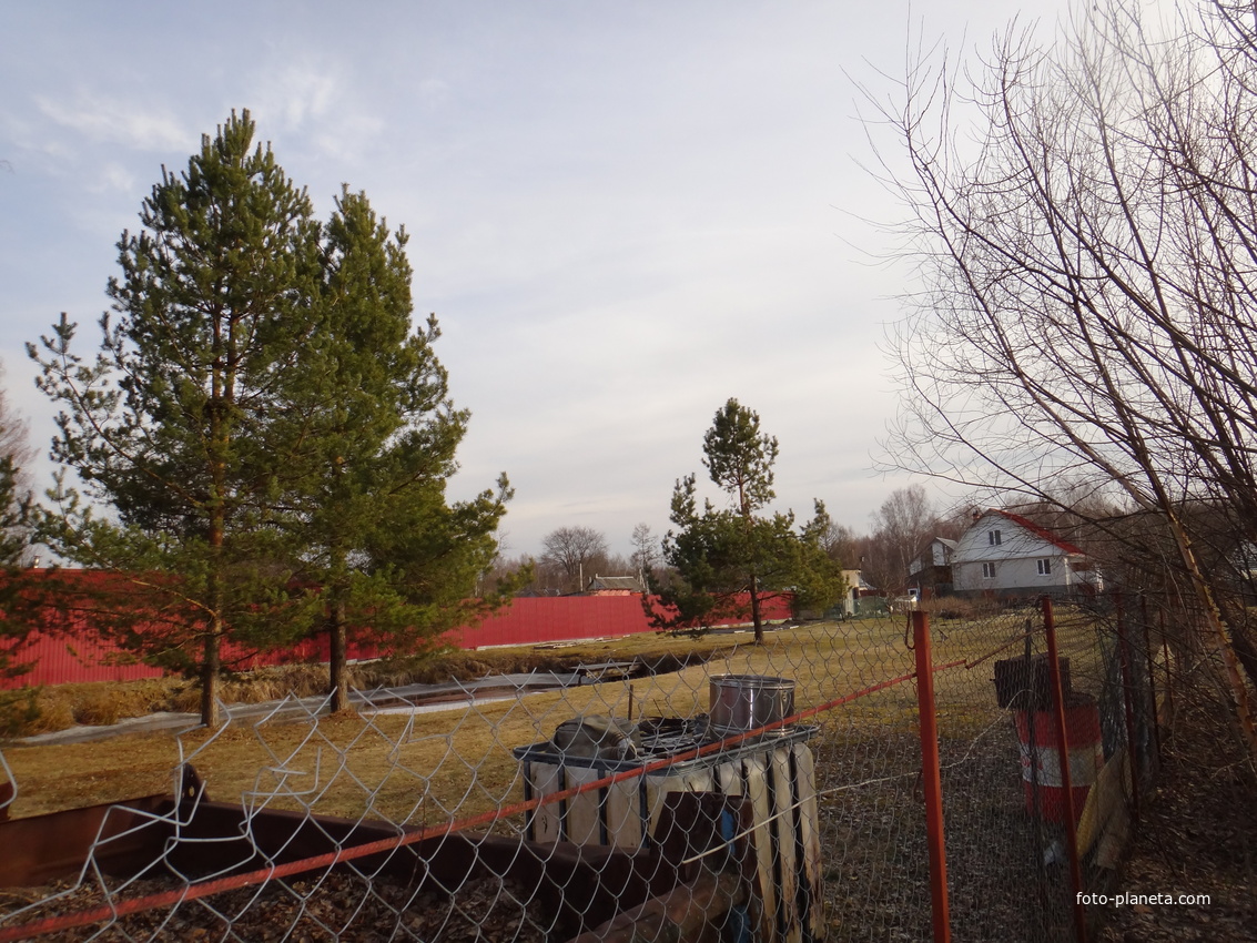 Дома в северо-западной части деревни.