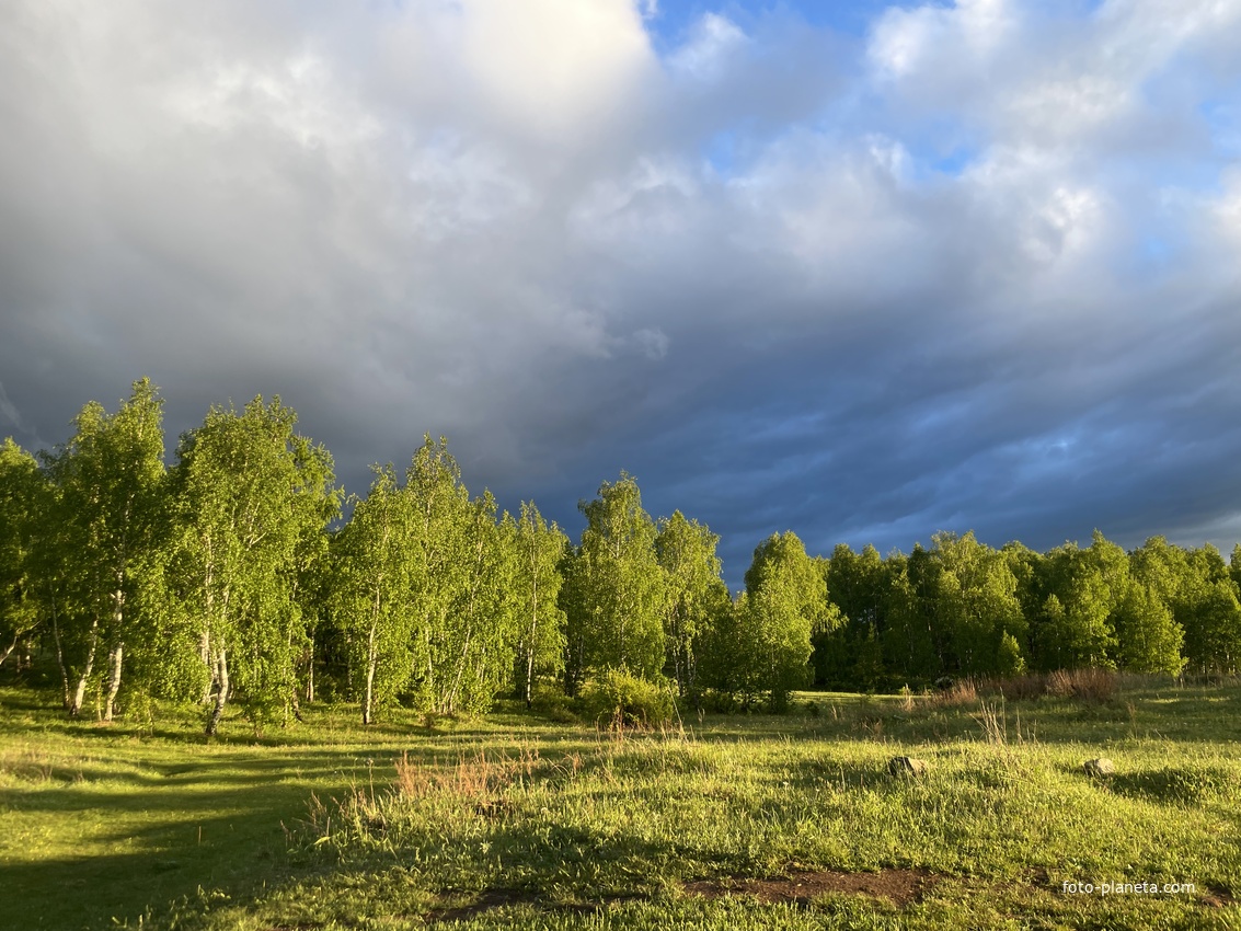 Дорога из шира в туим