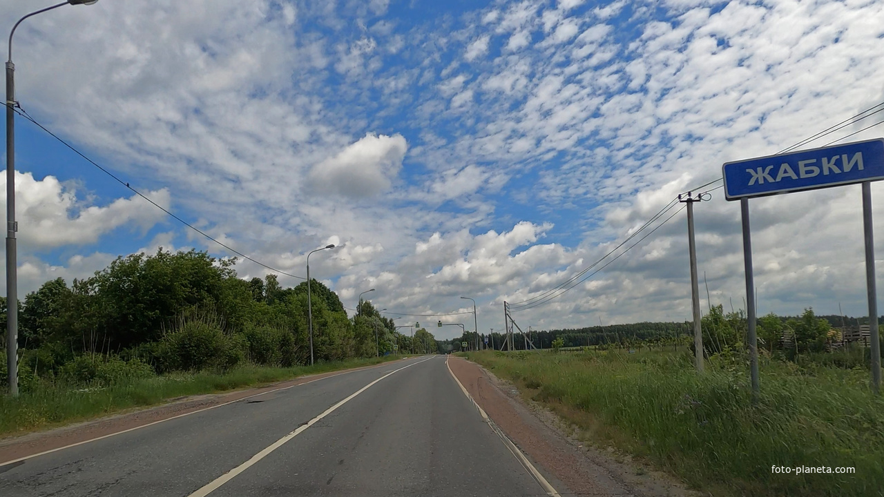 Жабки, Егорьевское шоссе