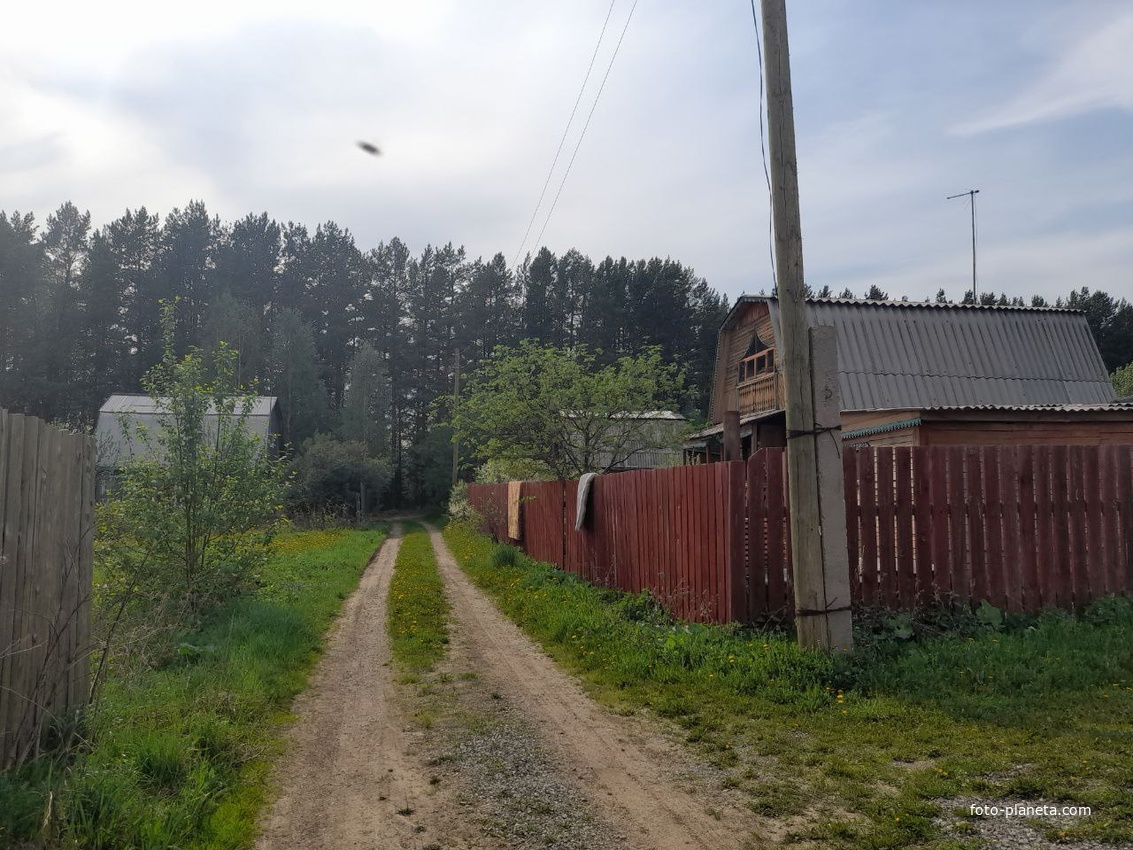 Садовая улица