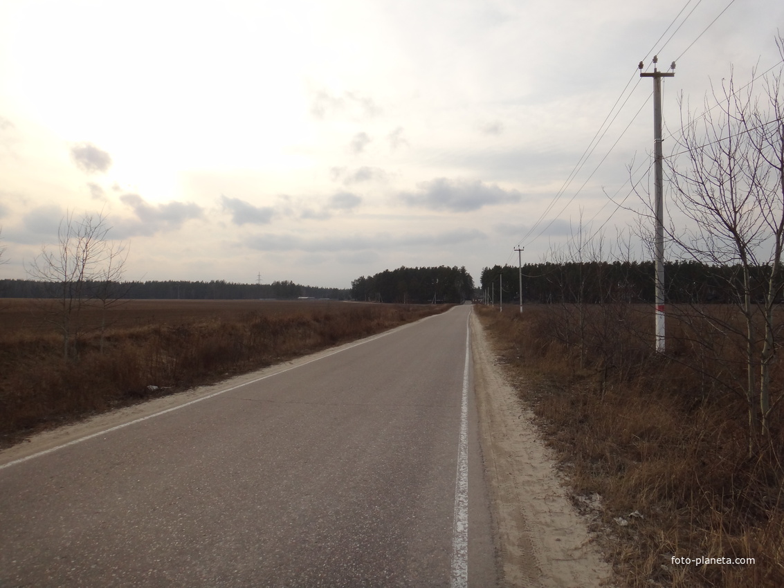 Дорога к посёлку