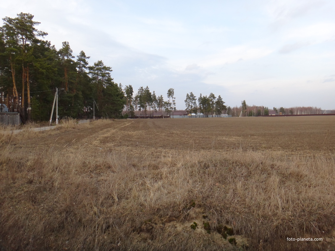 Восточная окраина посёлка