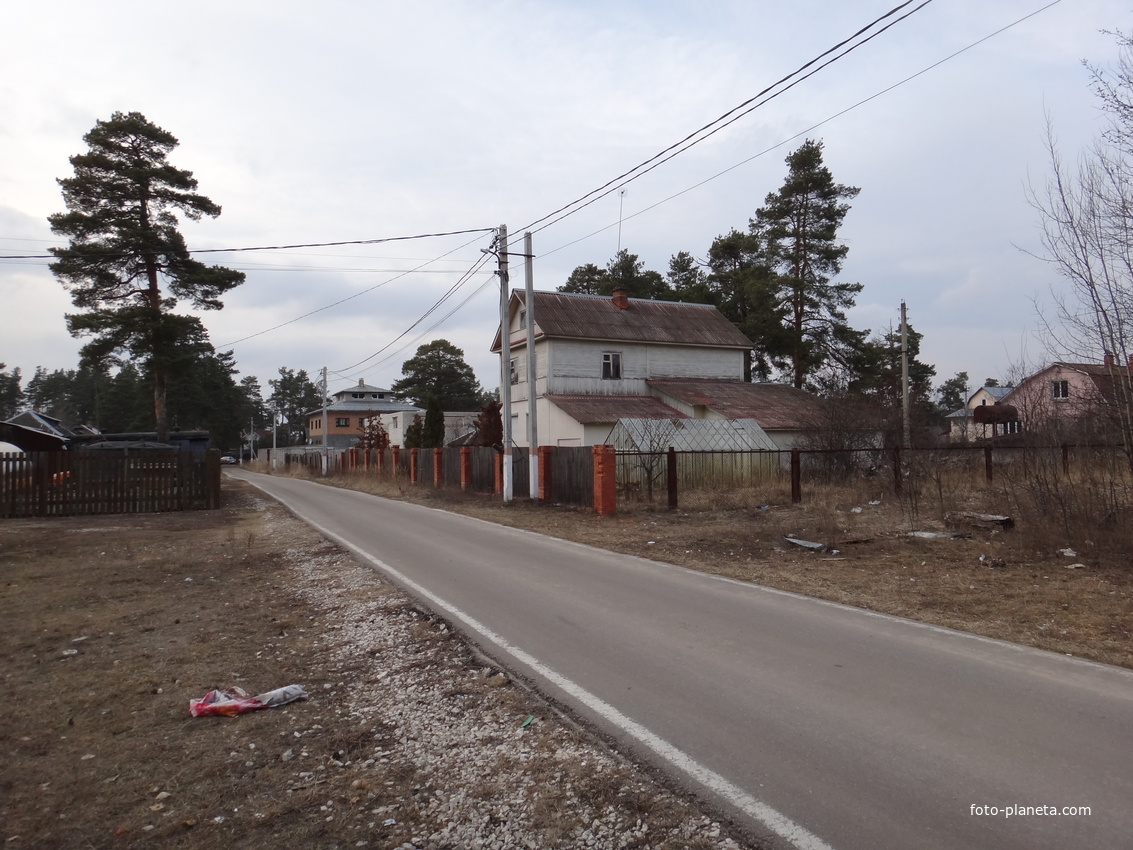 Дома в восточной стороне посёлка.