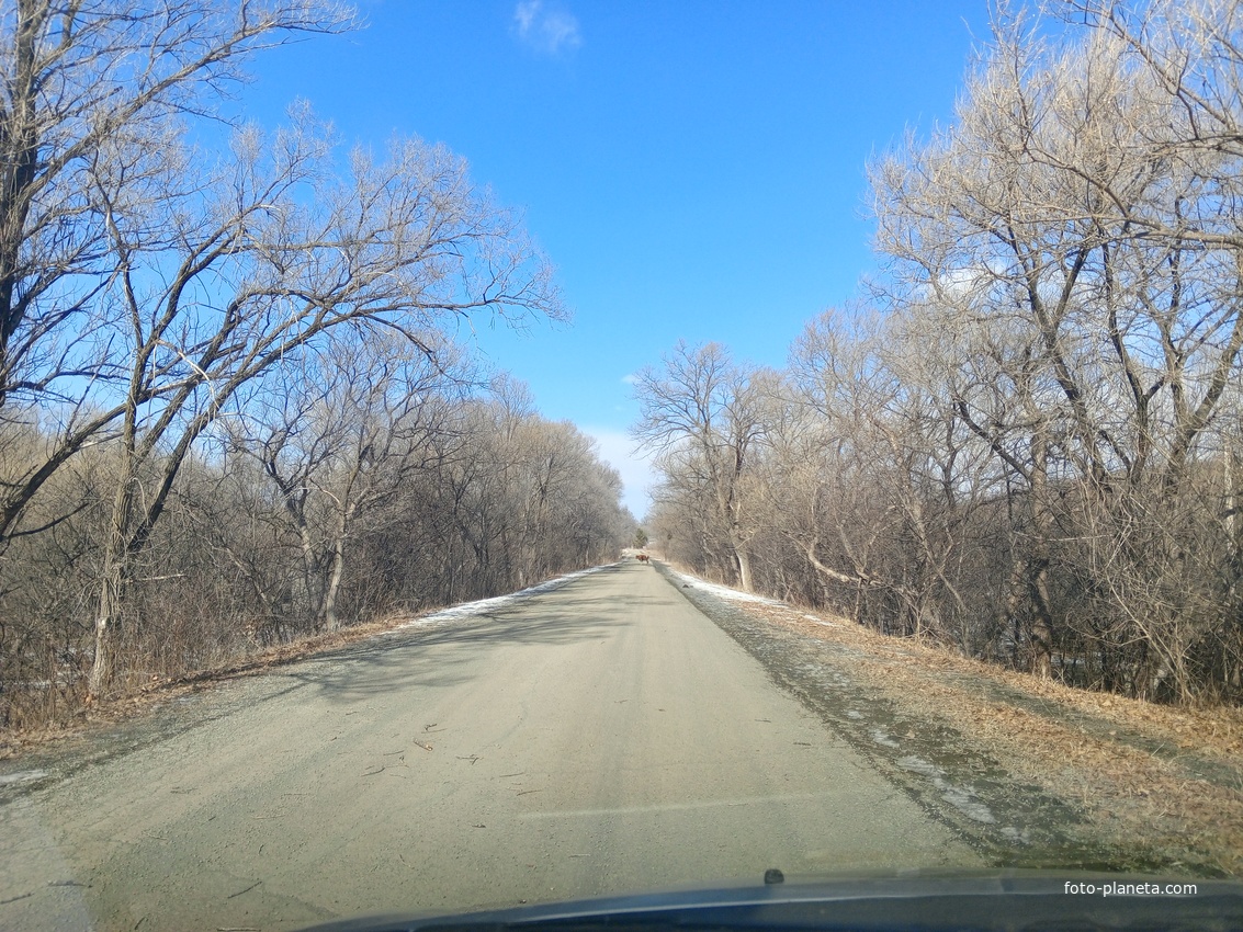 Село Корфовка