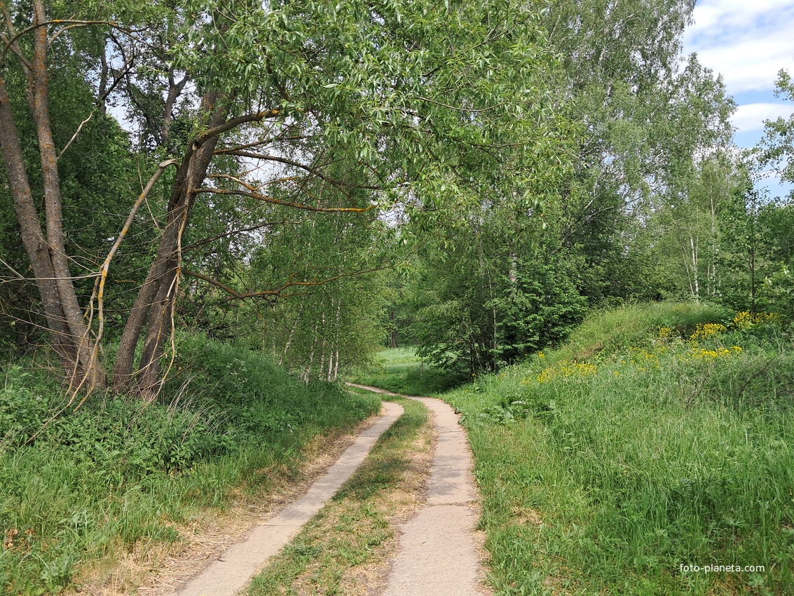 Чагинская улица