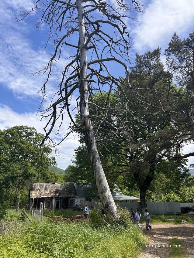 Ул. Озерная