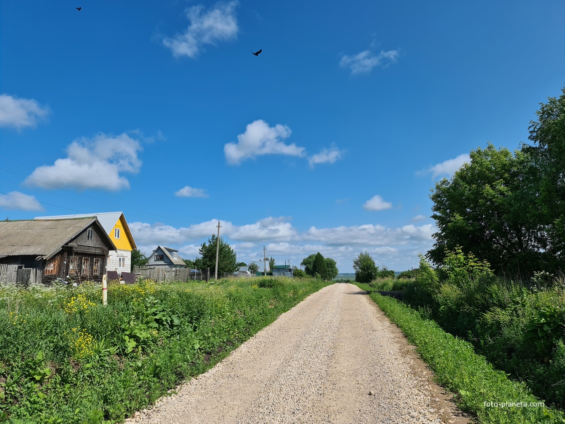 С. Ненашевское, вид к северной стороне