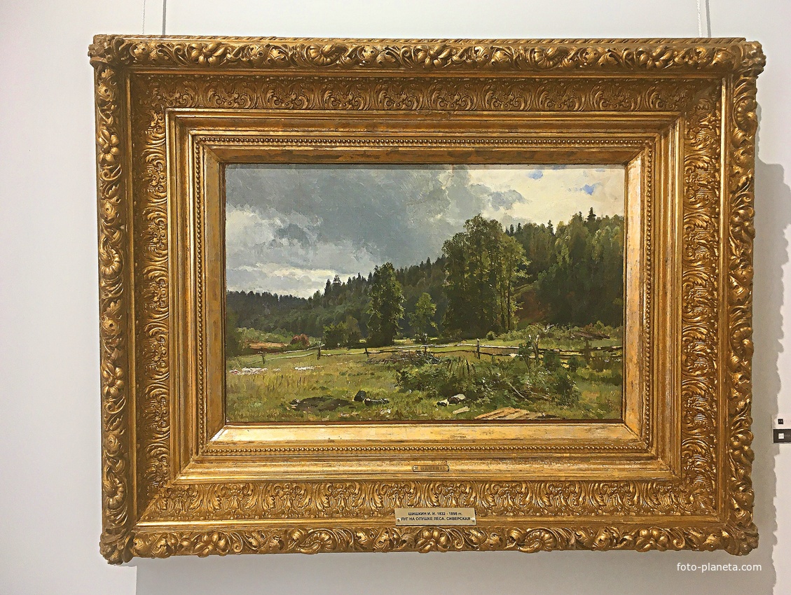 Музей пейзажа в старинном купеческом особняке конца XVIII в. (доме Философова, также известном как дом Грошева — Подгорнова). Шишкин И.И. &quot;Луг на опушке леса. Сиверская&quot;.