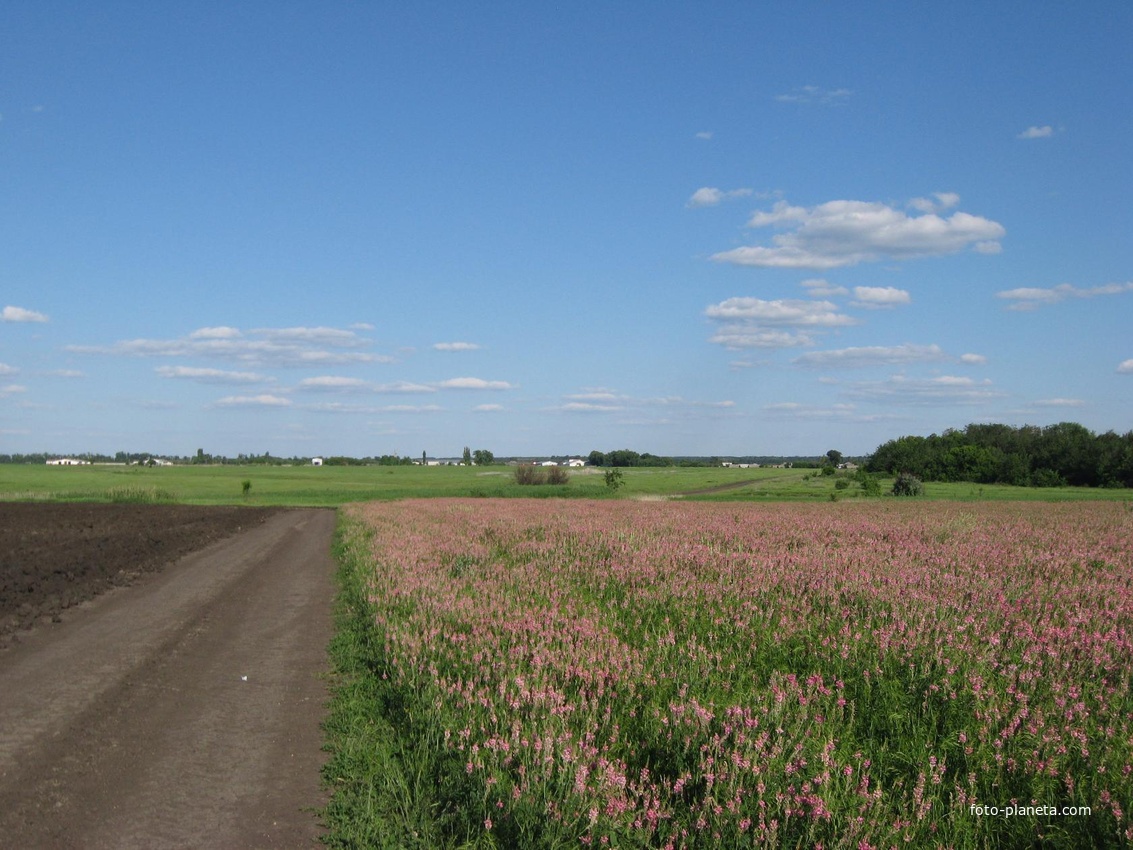 Дорога с пос. Покровский на пос. Вознесенский