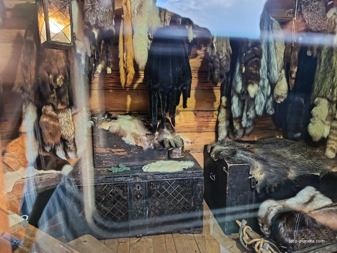 Пушнина, которой торговали в 17-19 веке