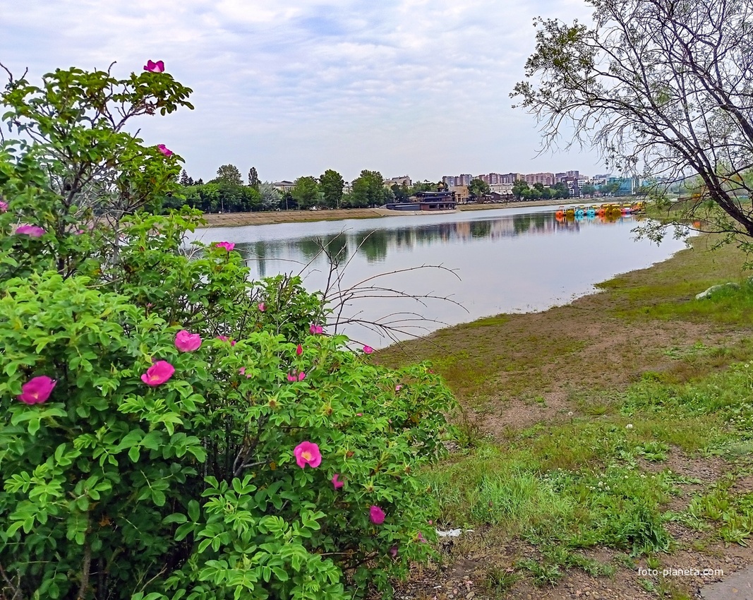 Парк на острове Юность